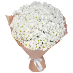 Букет из 35 белых ромашковых хризантем