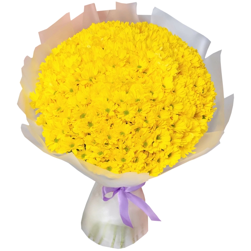 Букет из 45 желтых кустовых хризантем