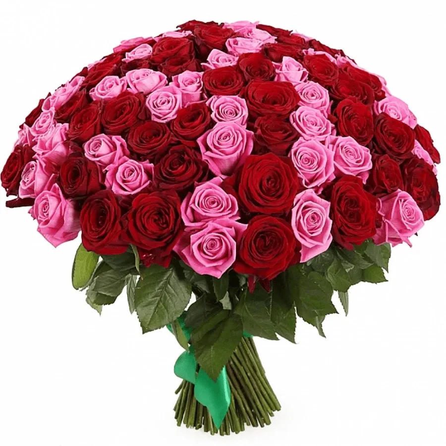 Розы Россия микс красно-розовый